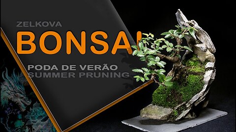 Poda de verão: Bonsai SP