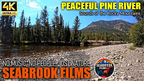Peaceful Pine River: Sounds of the Rocky Mountains