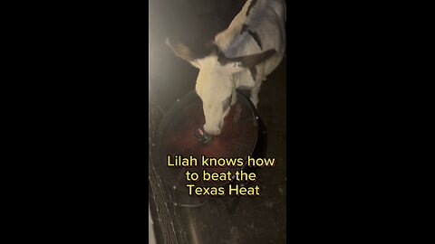 Lilah has figured out how to adjust our fans.