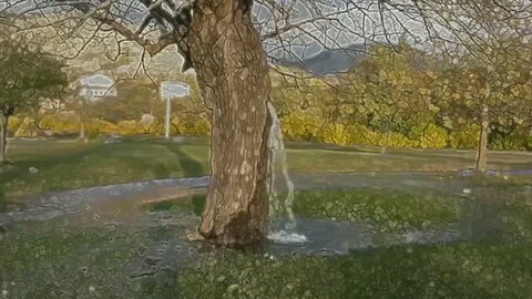 Water from your own cistern...
