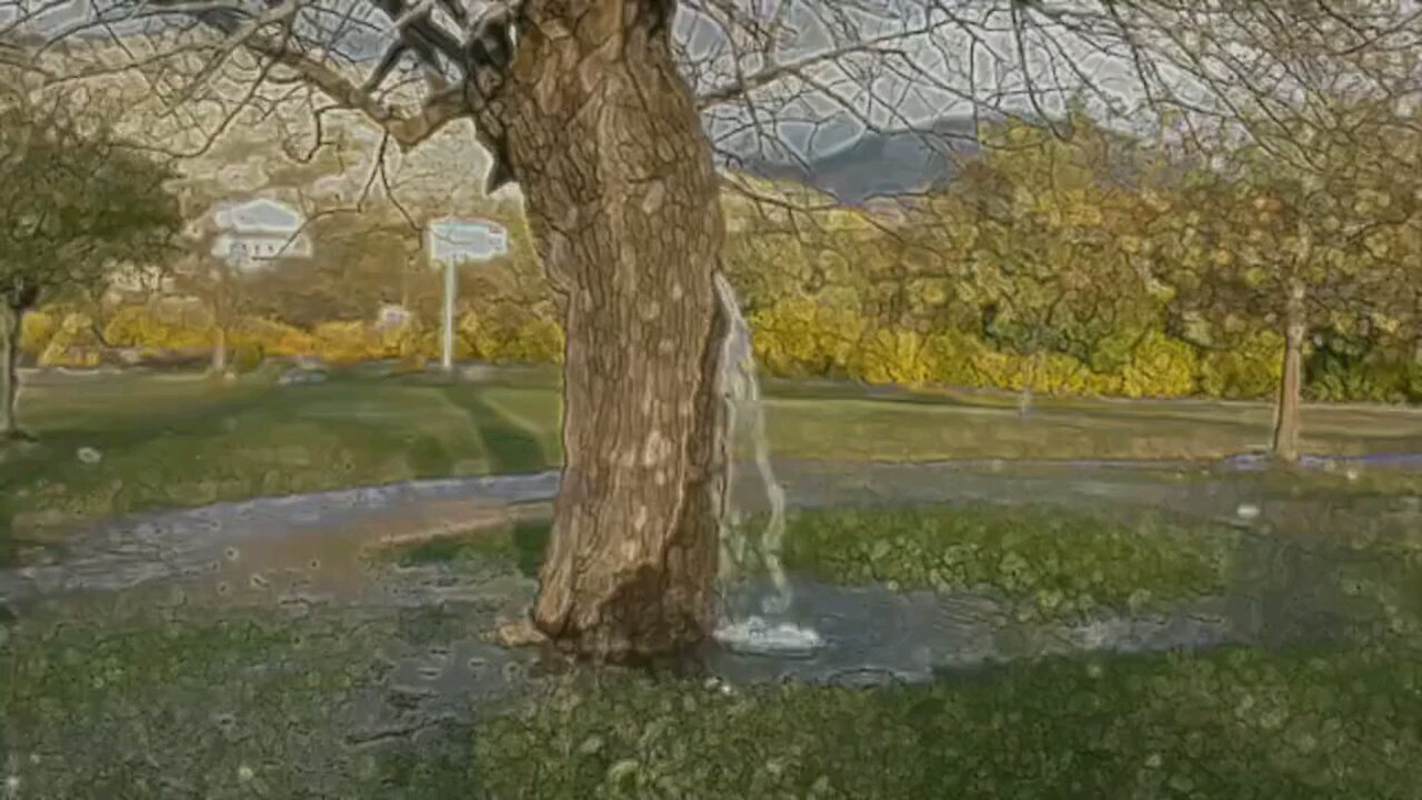 Water from your own cistern...