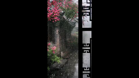Rain Love 05 #Rain #Love