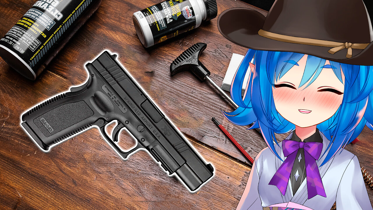 I Cleaned my Springfield Guns