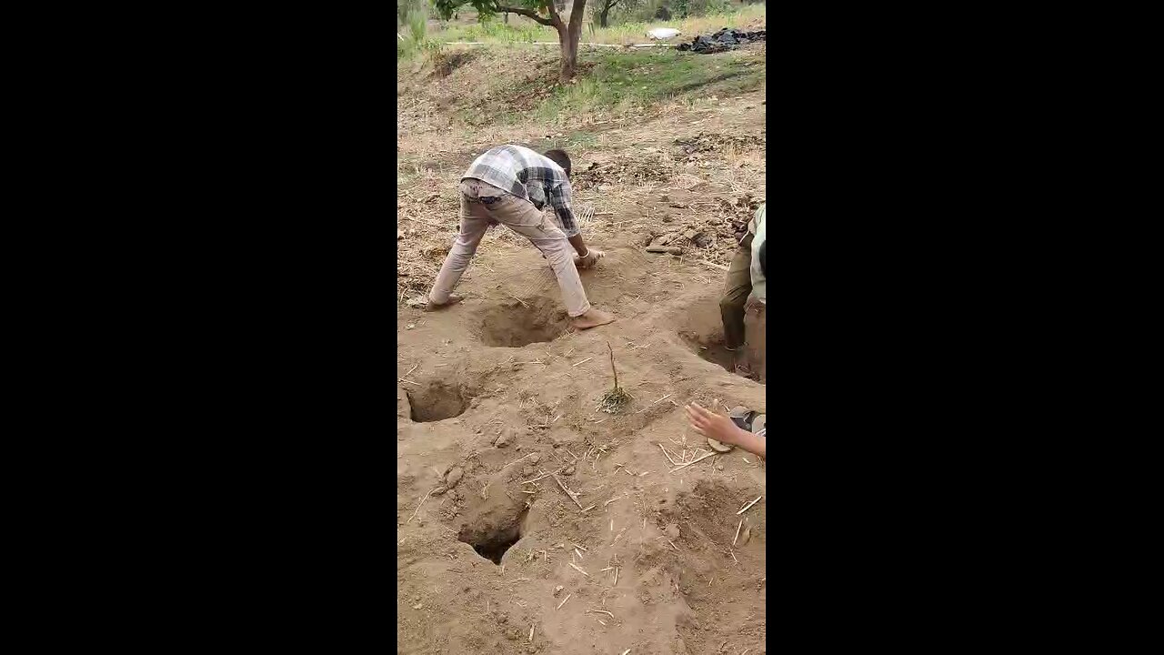 Never seen before like this