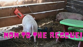 I HAD To RESCUE Her!