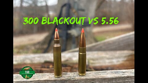 300 Blackout VS 5.56 Energy Out To 75 Yards