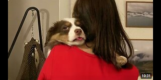 Puppies Go Crazy with Their Humans 😂 Funny Dog and Human 2025