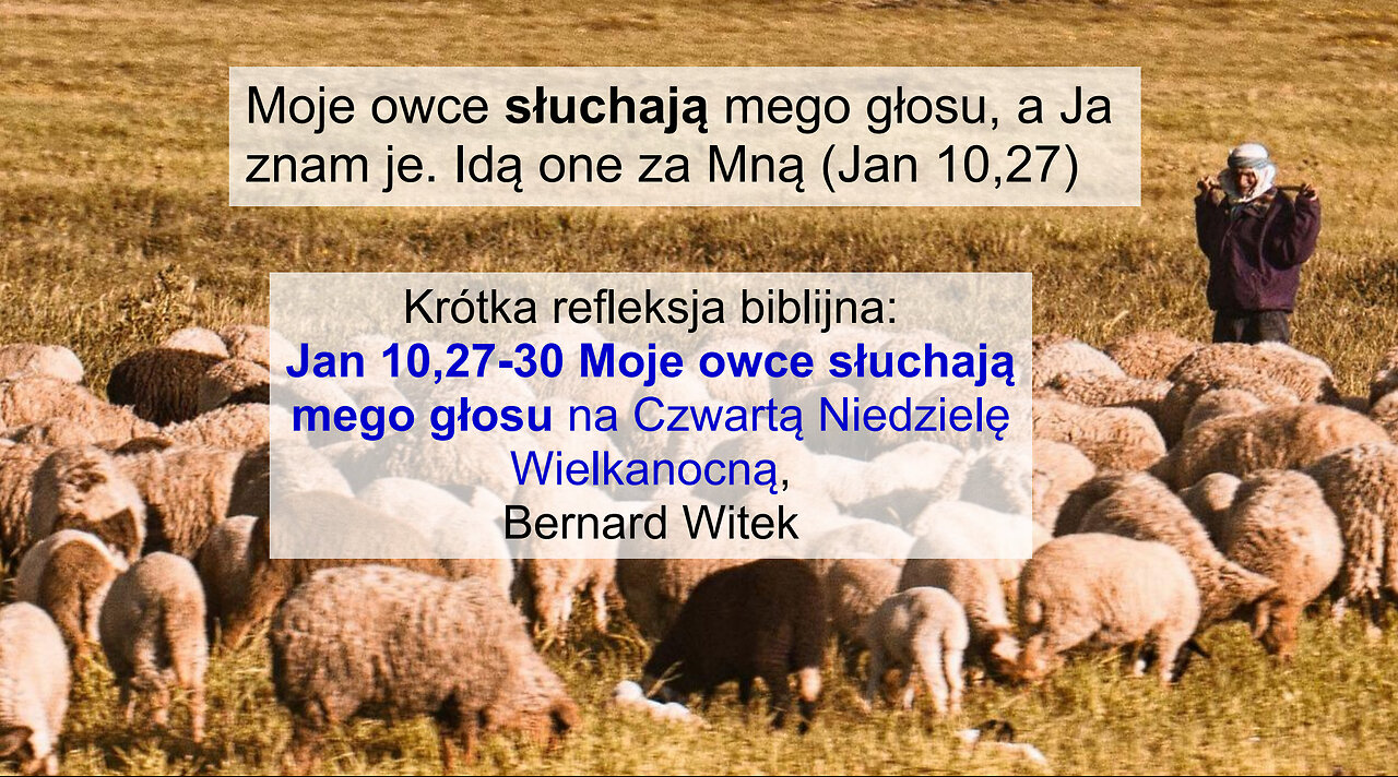 Jan 10,27-30 Moje owce słuchają mego głosu (Czwarta Niedziela Wielkanocna)