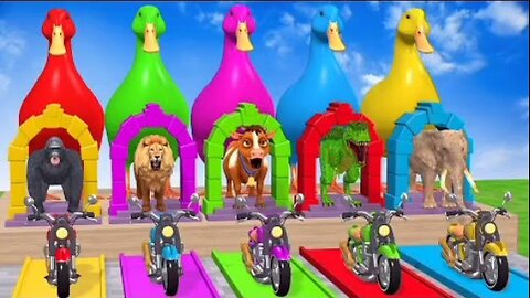 Long Slide Game With Cow Elephant Gorilla Hippopotamus Tiger - 3d Animal Game - Funny 3d Animals