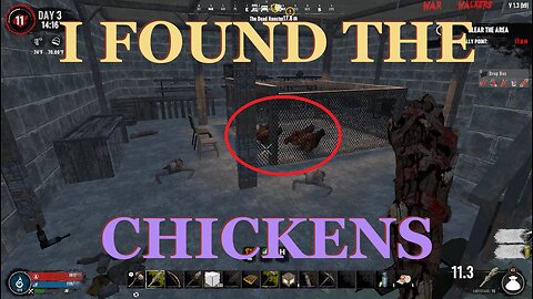 I Found Rekt's Chickens