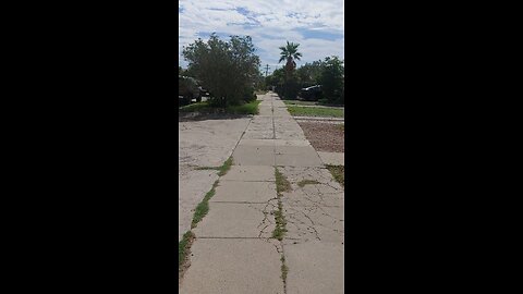Daily Walk