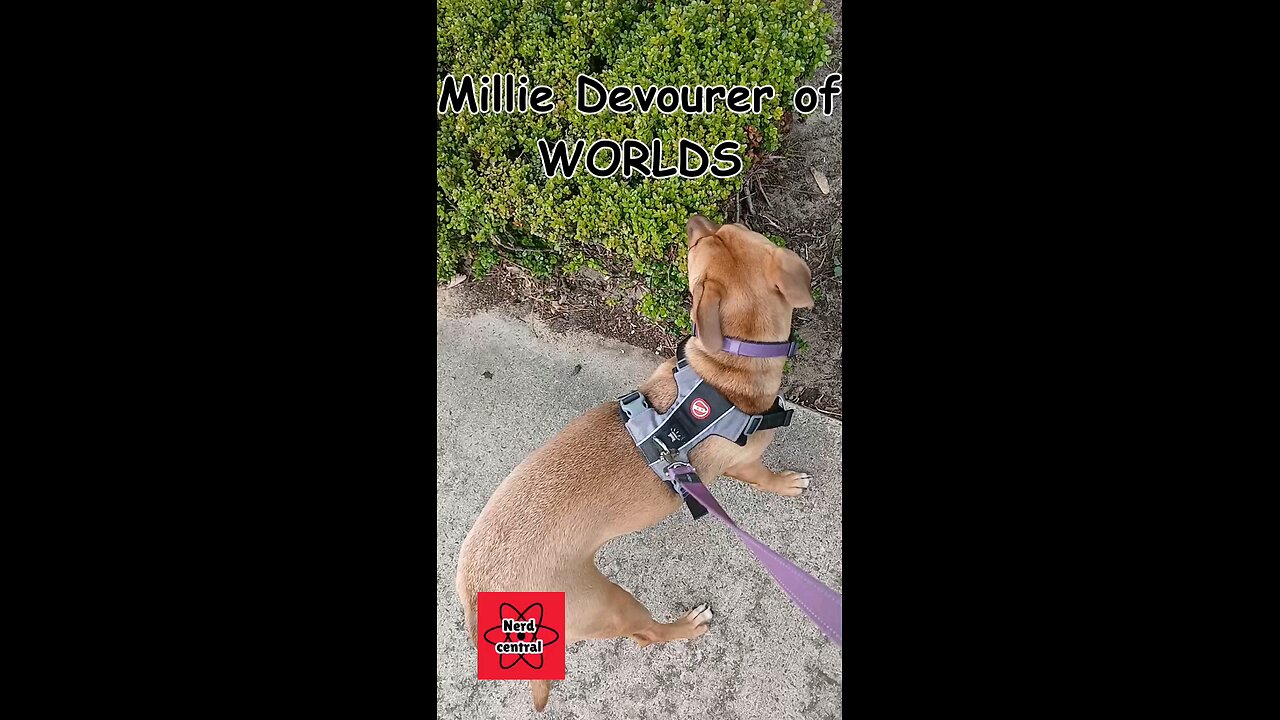 Millie eats planets