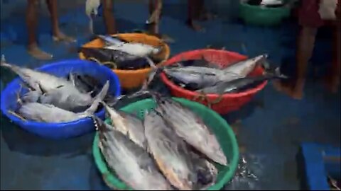Great🤩 The Tenth Day We Stayed In The Deep Sea And Caught A Lot Of Big Fishes
