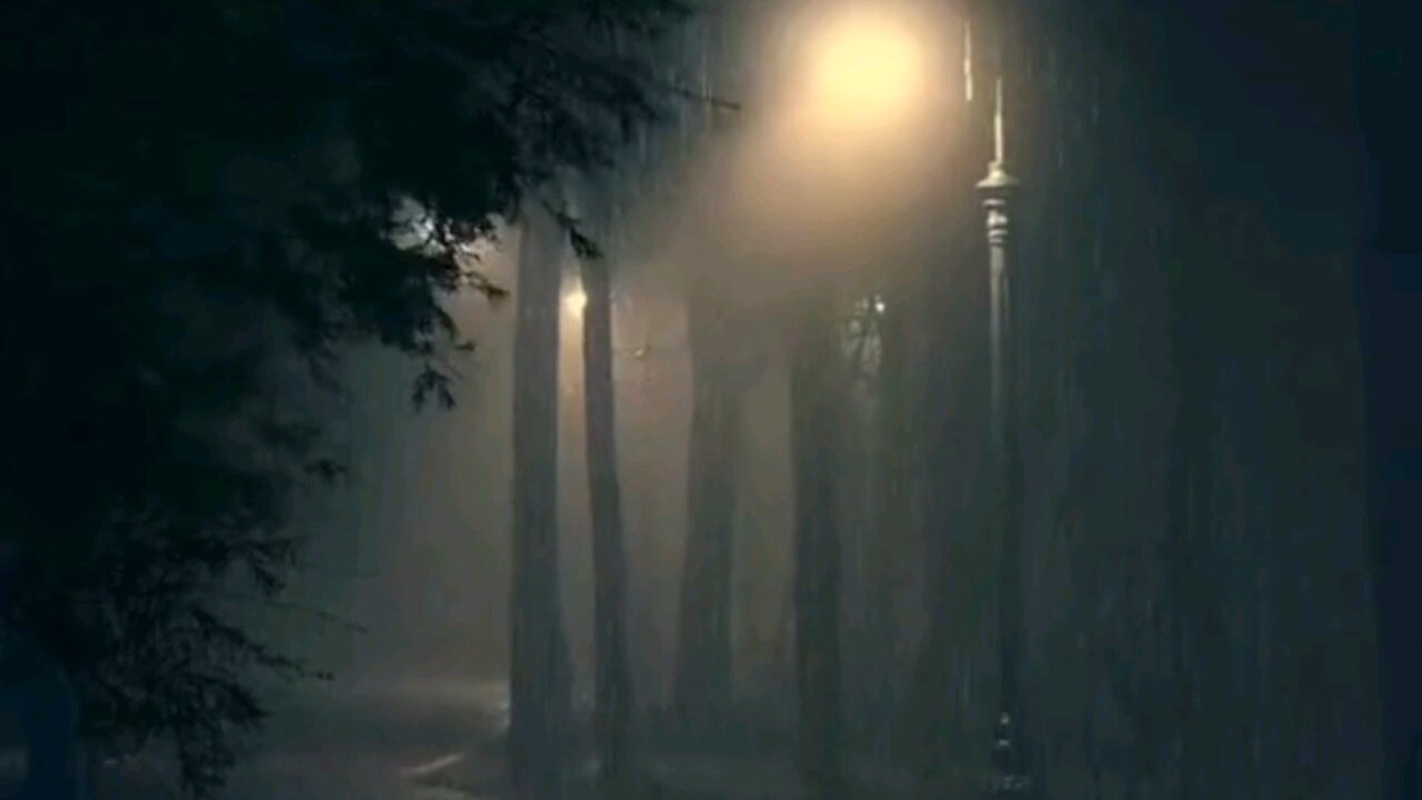Relaxing rain video