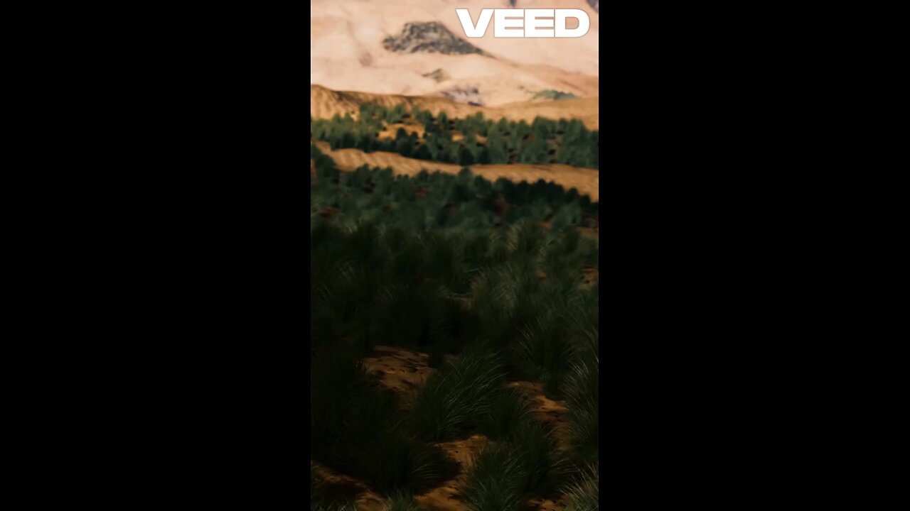 Mouses la Profeta e Salvador.