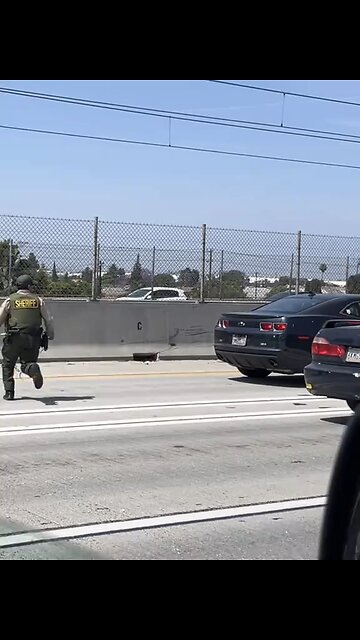 Goat! You are under arrest