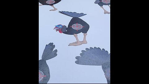 Talking Rock BP Shooters - November 2025 - Monthly Meet - Turkeys, turkeys, and more turkeys