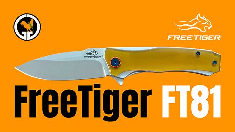 FreeTiger FT81 Folding Knife