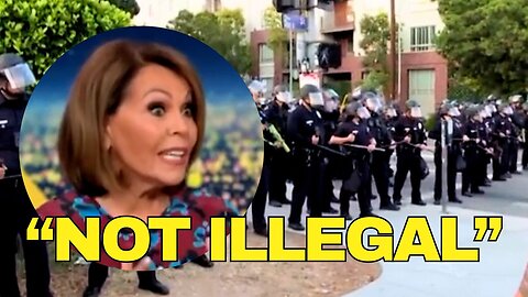 Ex-Univision Anchor Makes UNHINGED Claims About Illegal Aliens and LA Riots
