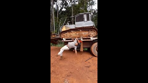 Oops!