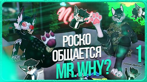 🐺 ОБЩЕНИЕ РОСКО С MR.WHY? | ЧАСТЬ 1