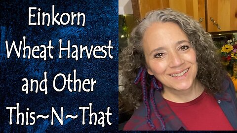 Einkorn Wheat Harvest and Other This~N~That