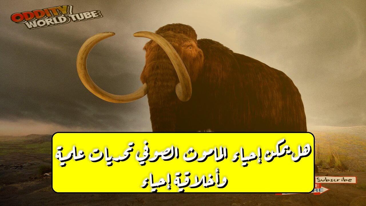 هل يمكن إحياء الماموث الصوفي؟ تحديات علمية وأخلاقية - إحياء #الماموث #علم_الاحياء
