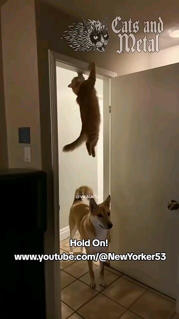 Hold on, don't fall