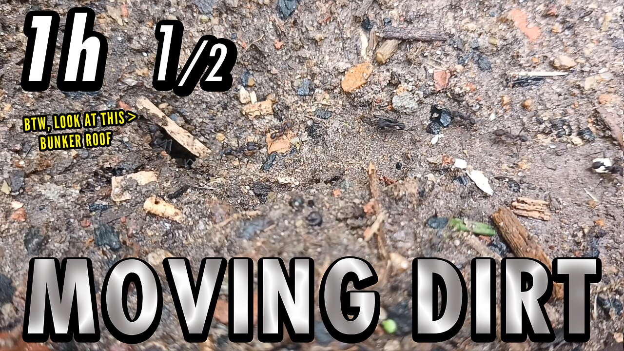 ASMR | It's a gloomy, humid, grey work day on the little trench - 1h 1/2