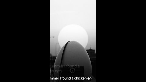 The insanity of being an egg