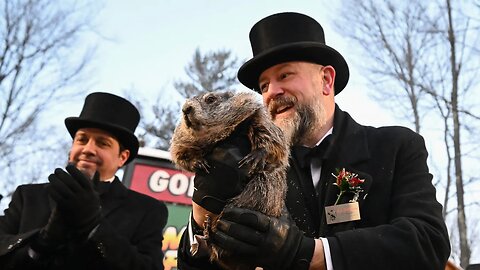 Gutfeld! - Monday, February 2