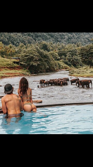 Sri Lanka: The Perfect Honeymoon Destination