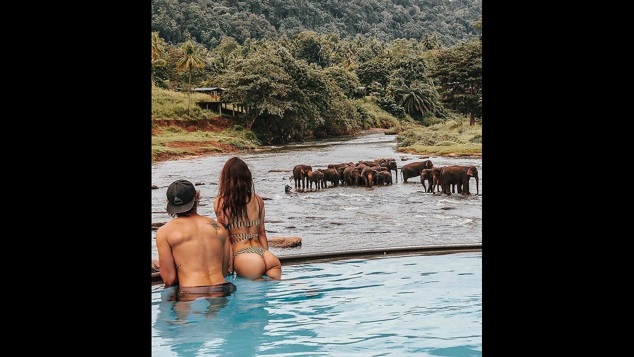 Sri Lanka: The Perfect Honeymoon Destination