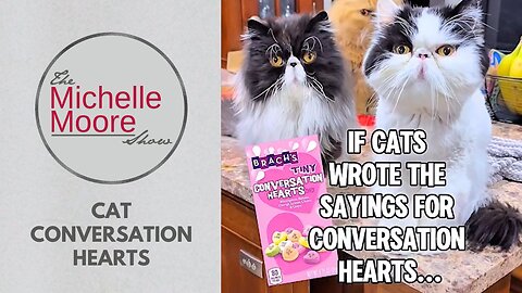 As Seen on The Michelle Moore Show: 'Cat Conversation Hearts' (Feb 13, 2026)