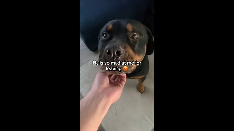 Long time no see, Bruno