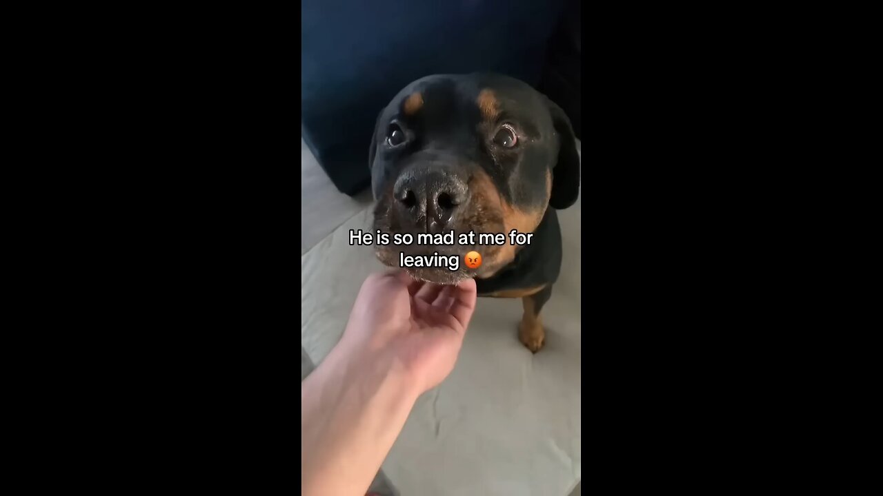 Long time no see, Bruno