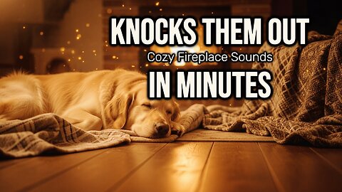 1 Hour Dog Relaxation: Classical Piano & Crackling Fireplace Sounds