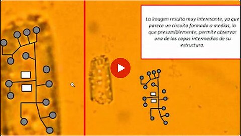 "Decoding Microtechnology in Cansino, Pfizer, AstraZeneca, Sinopharm & Sputnik Vaccines"