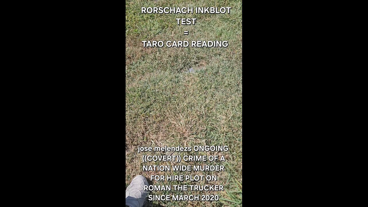 RORSCHACH INK BLOT TEST = TARO CARD READING