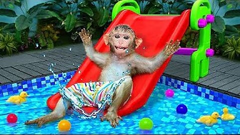 KiKi Monkey has fun at the Water Park and play with Waterslides