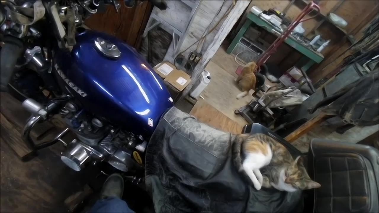 One didn't come in