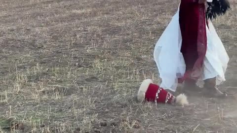 Horse Makes Girl Rethink Her Profession