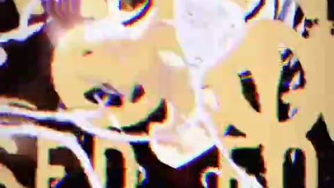 Archive 01/03/2025
