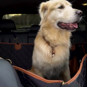 This car dog hammock fits most vehicles with detachable headrests. I