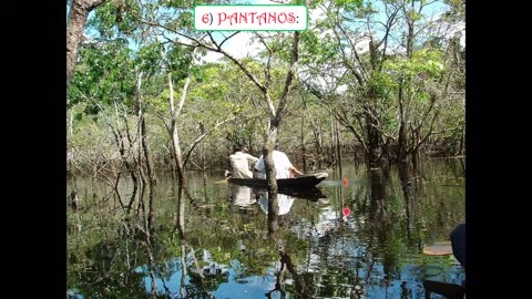 SAVIA REGULAR 2025 | Semana 06 | Geografía