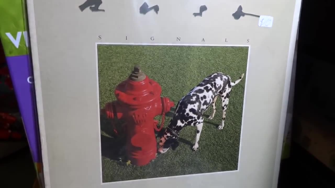 Central FL Vinyl ~ Final Record Haul? - Part 2