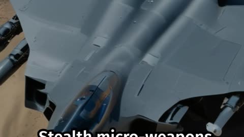 America's Stealth Micro-Weapons: The Future of Modern Warfare Revealed