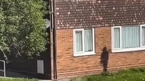 😱👻 3 Disturbing Horror Videos | #horror #horrortok #creepy #scary #scared | TheHauntingHour