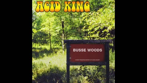Acid King - Busse Woods