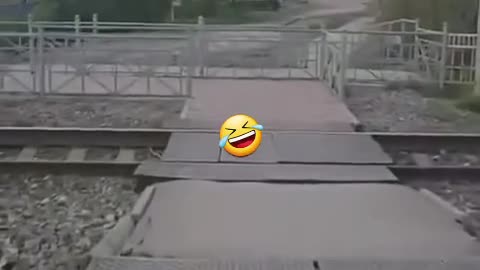 Fun